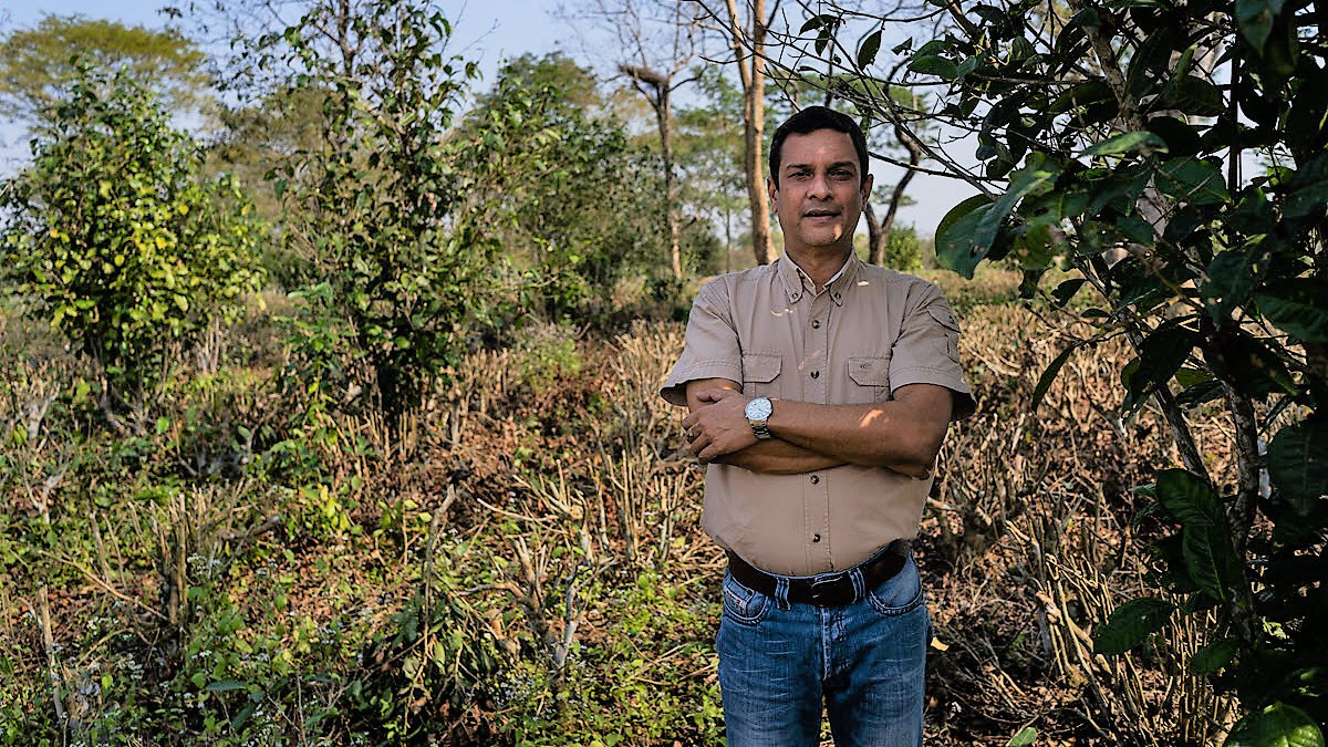 Raj Barooah, director, Aideobarie Tea Estate