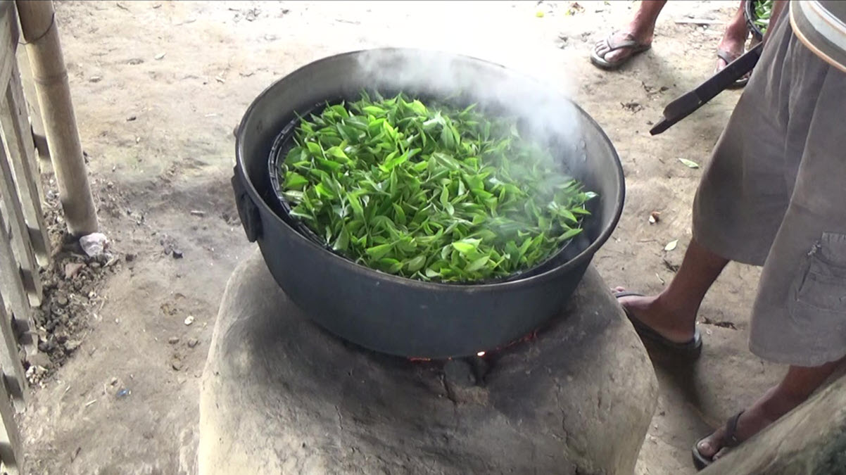 Processing raw leaves at Folklore Tea in Assam. Photos courtesy Folklore Tea.
