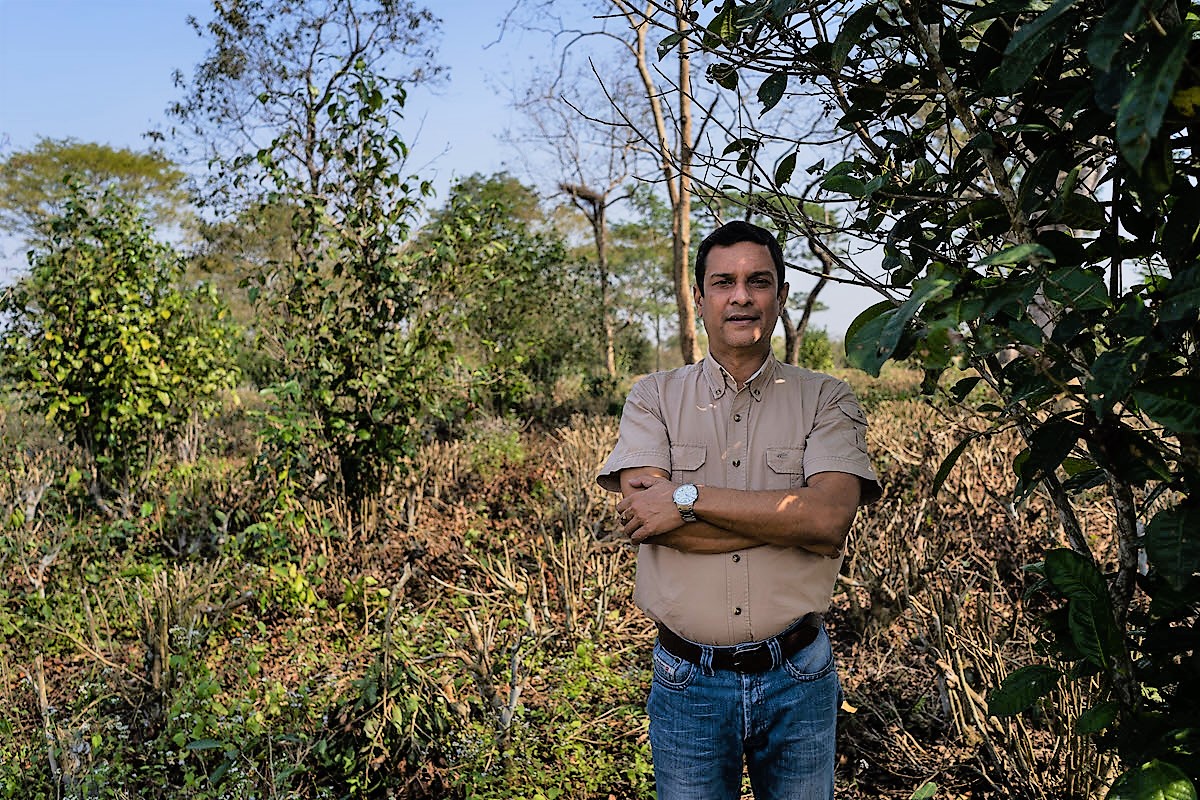 Raj Barooah, Aideobari Tea Estate, Rujani Tea