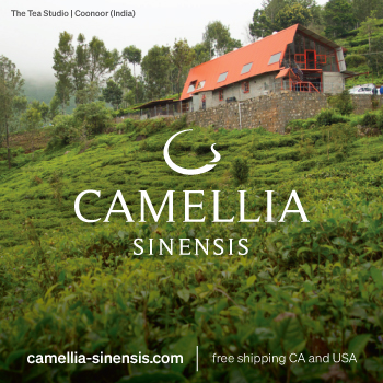 Camellia Sinensis