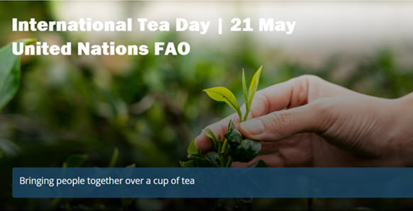 International Tea Day Makes a Splash