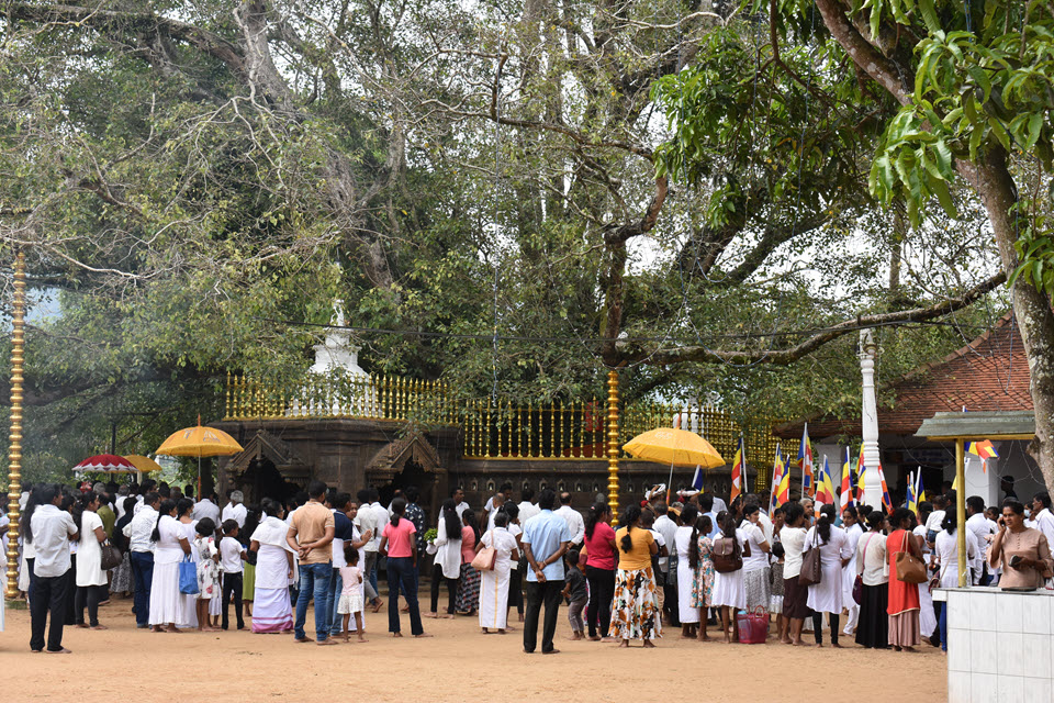 There are four Bo trees (Bodhi) remaining in the temple. These sacred trees are believed to be descendants of the fig tree beneath which Buddha was said to have attained enlightenment.