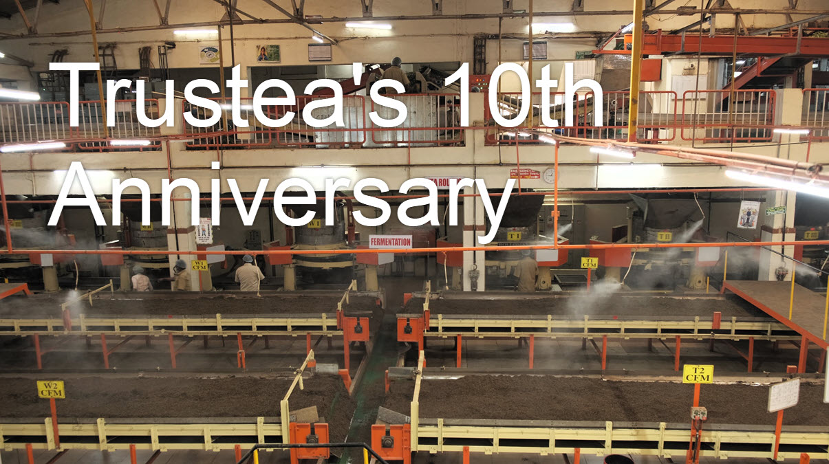 Trustea Celebrates 10th Anniversary