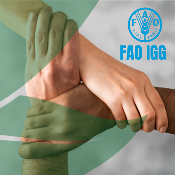 FAO IGG Collaboration