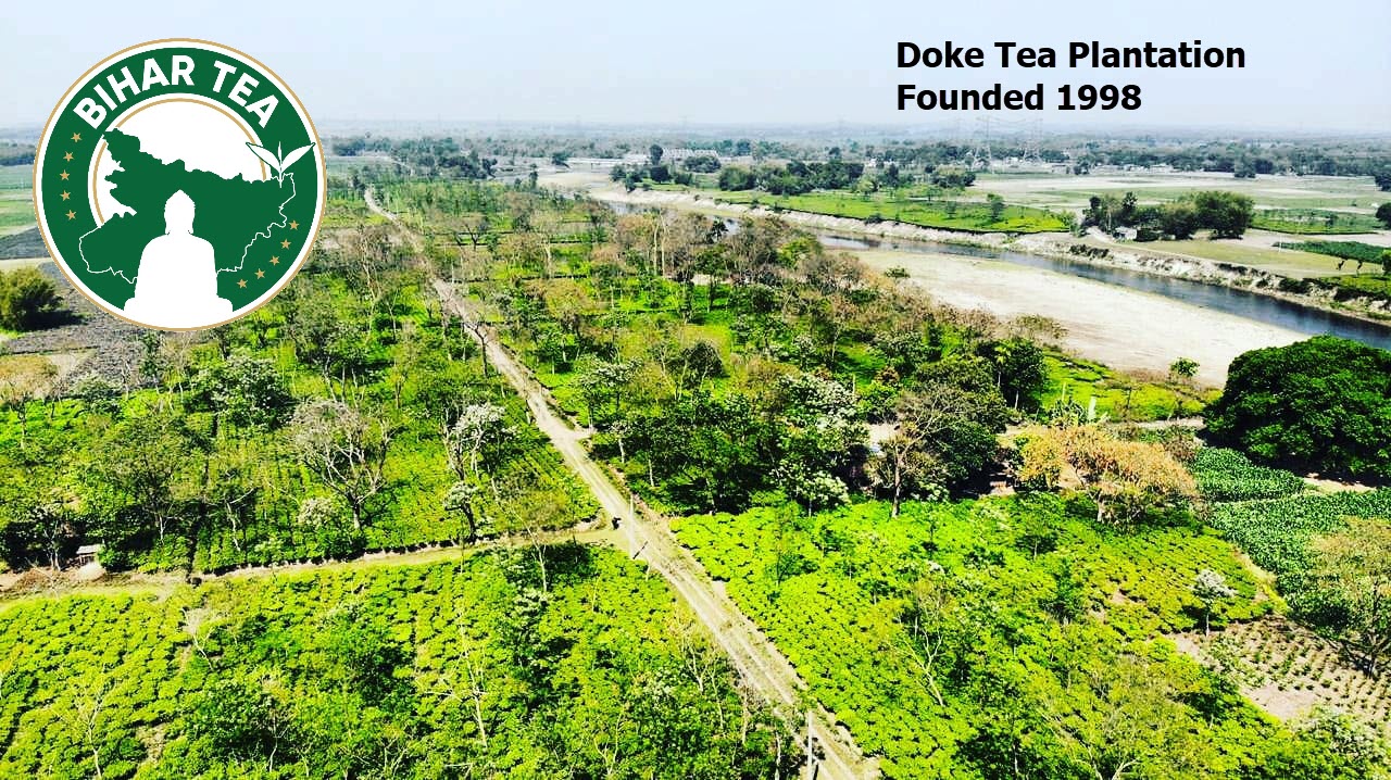 Doke Tea Plantation founded 1998