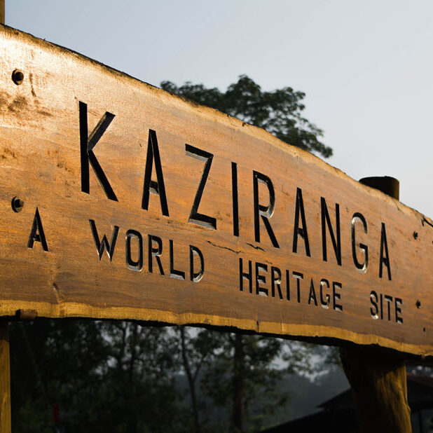 Kaziranga World Heritage Park