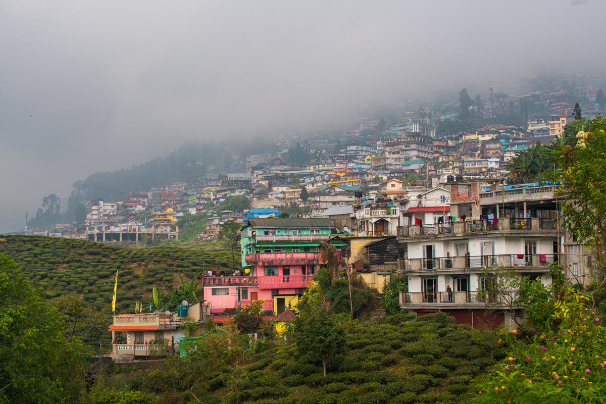 Kurseong Hill Station, Darjeeling