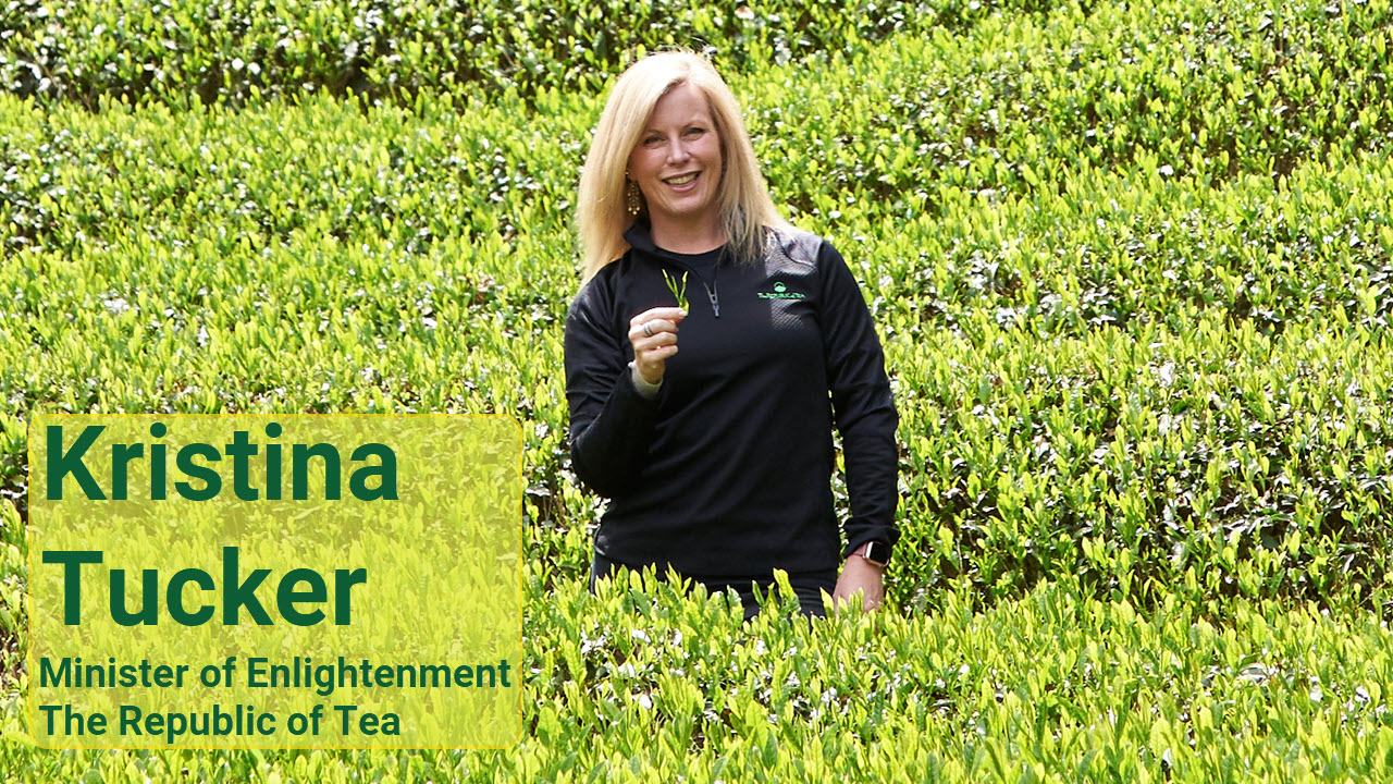 Kristina Tucker, Minister of Enlightenment and Commerce, The Republic of Tea